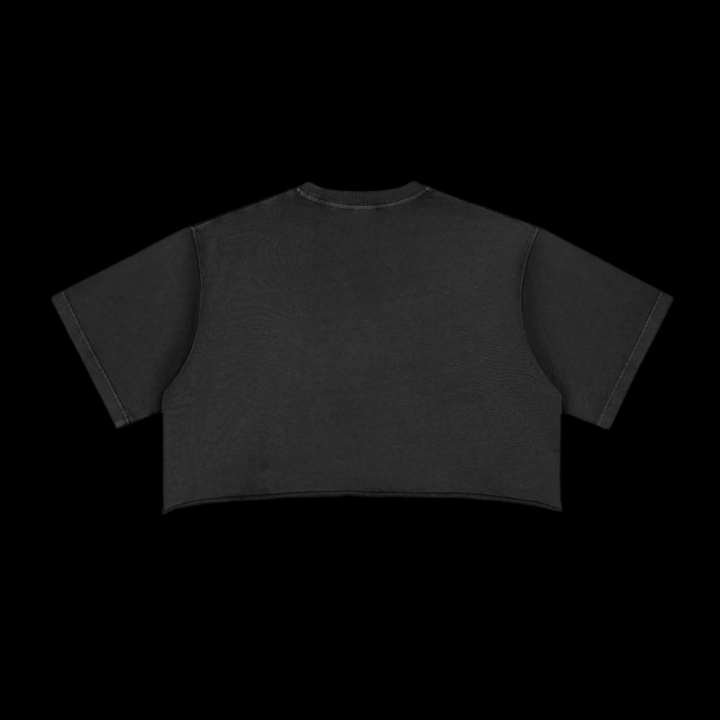Snow Washed Crop Top