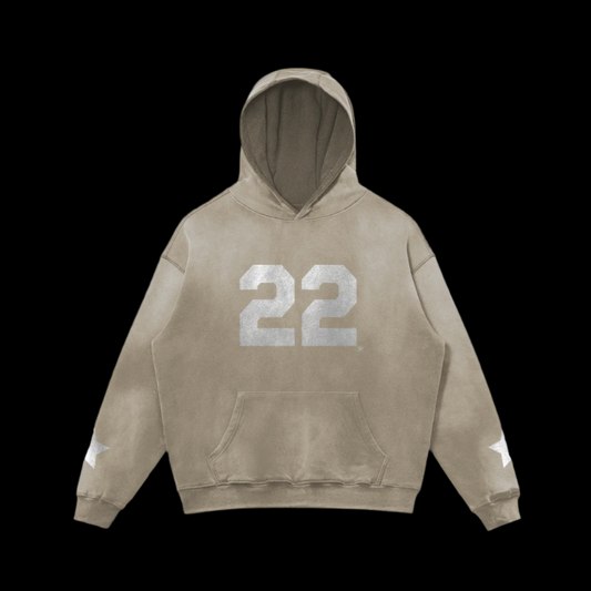 22 Hoodie