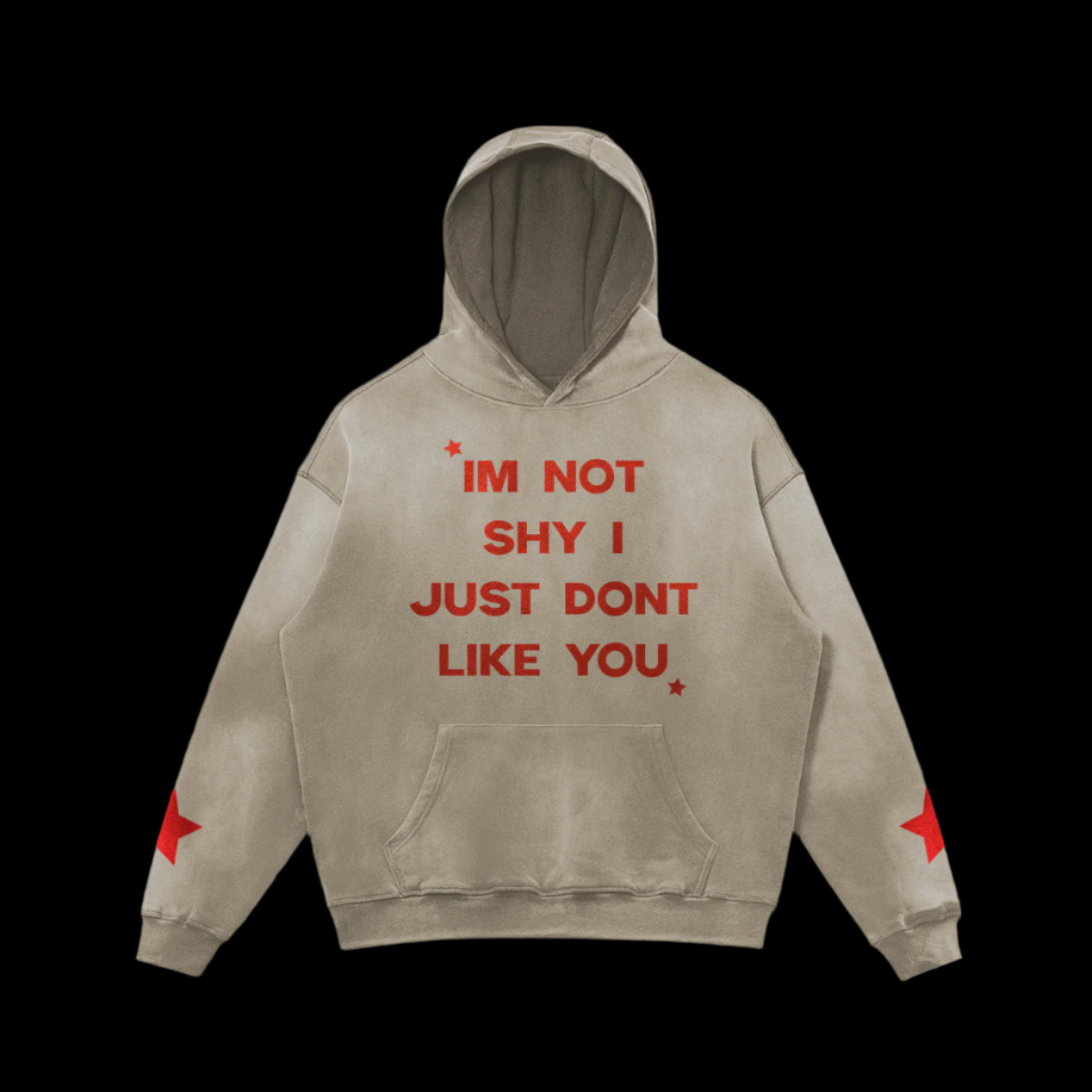 I'm Not Shy I Just Don't Like You Hoodie