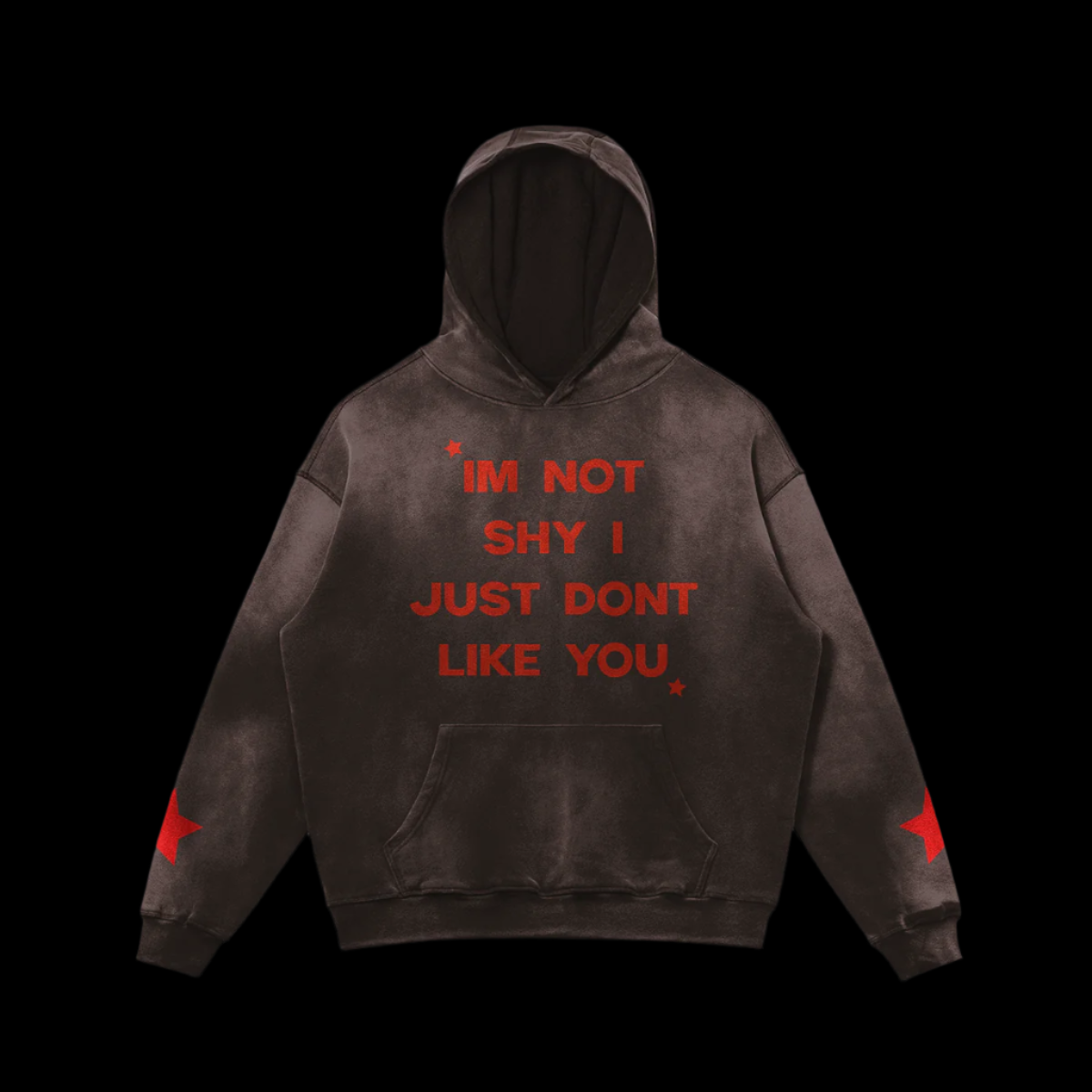I'm Not Shy I Just Don't Like You Hoodie