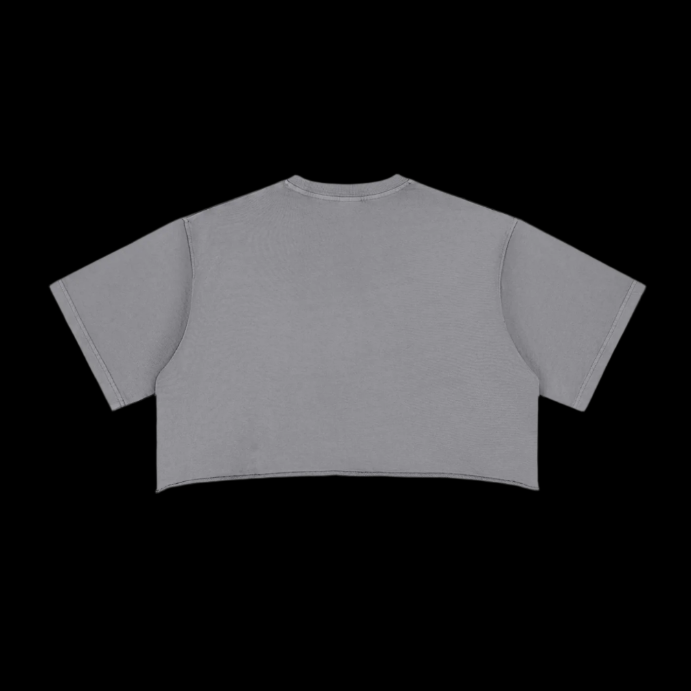 Snow Washed Crop Top