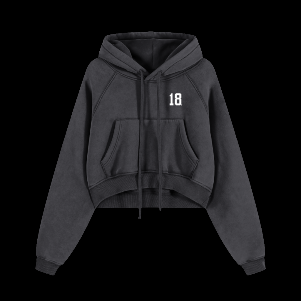 18 Cropped Zip Up Hoodie